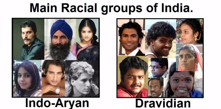 种族、地理人种和民族，如何划分？