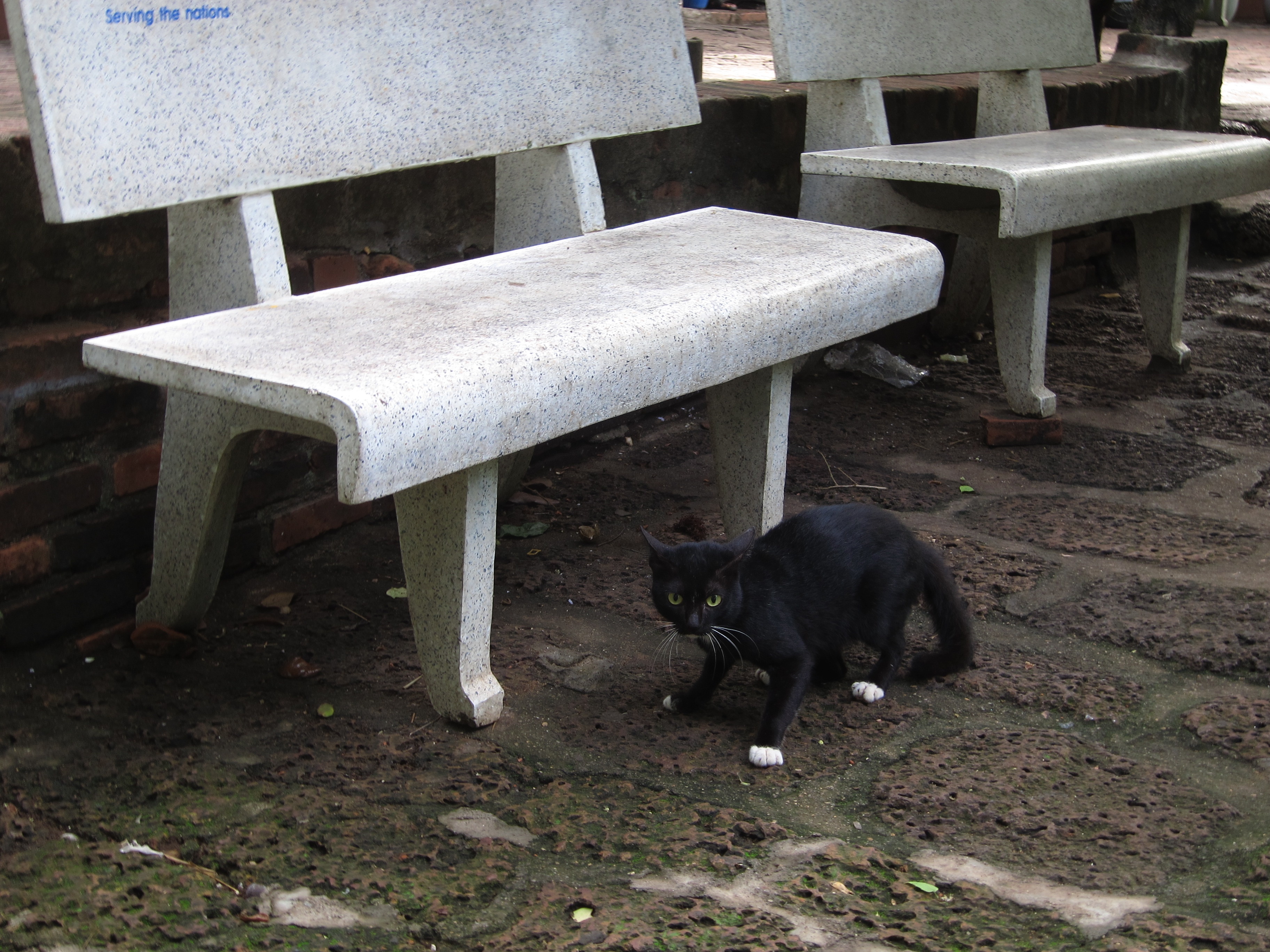 中国小伙在柬埔寨的视频,骑行去柬埔寨的小伙