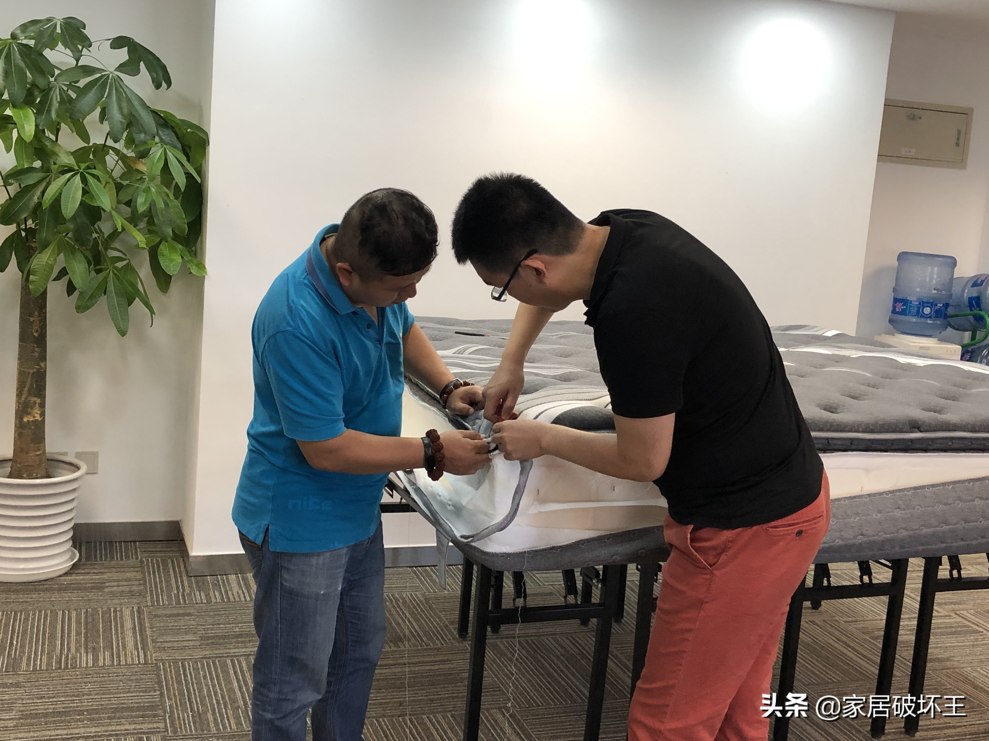 金可儿繁星c多少钱,金可儿繁星价格