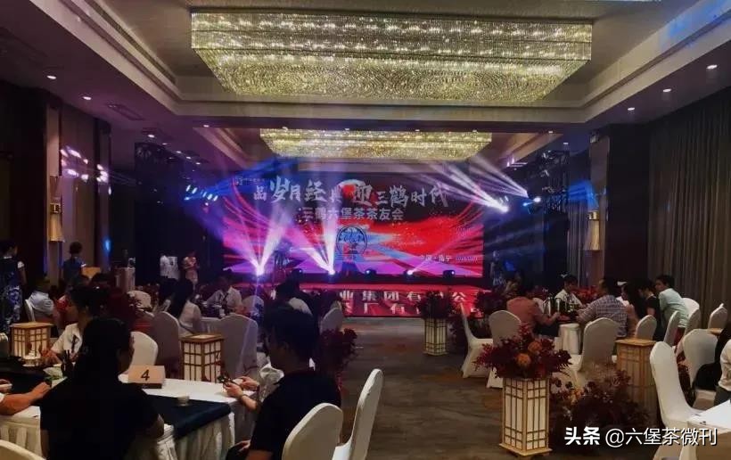 三鹤六堡茶2020特级陈香,三鹤六堡茶0101是什么包装