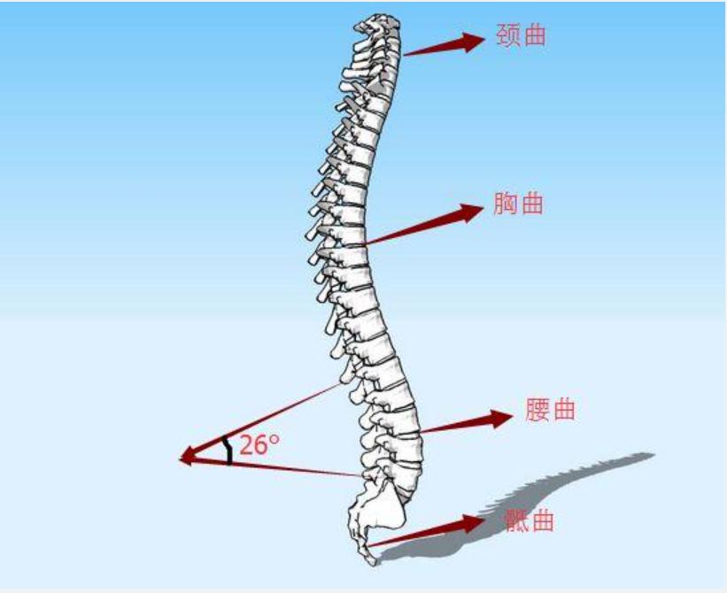 上班族腰颈痛神器,腰酸肩颈疼缓解办法