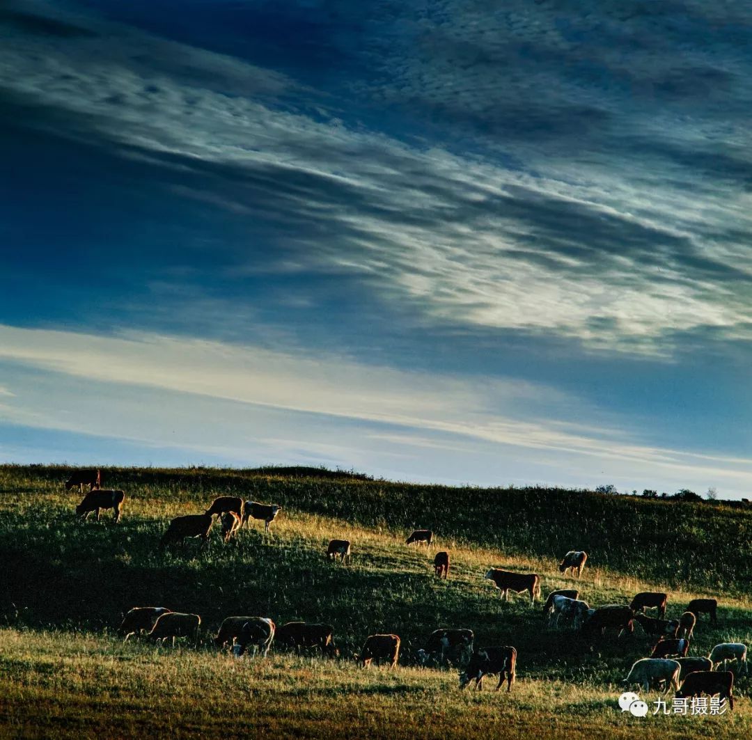 坝上草原天路美景,大美坝上风光系列之一