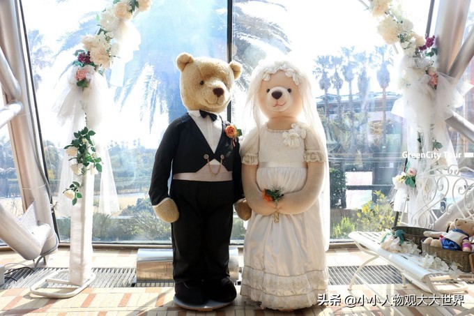 韩国济州岛靠近中国哪里,韩国七日游济州岛攻略