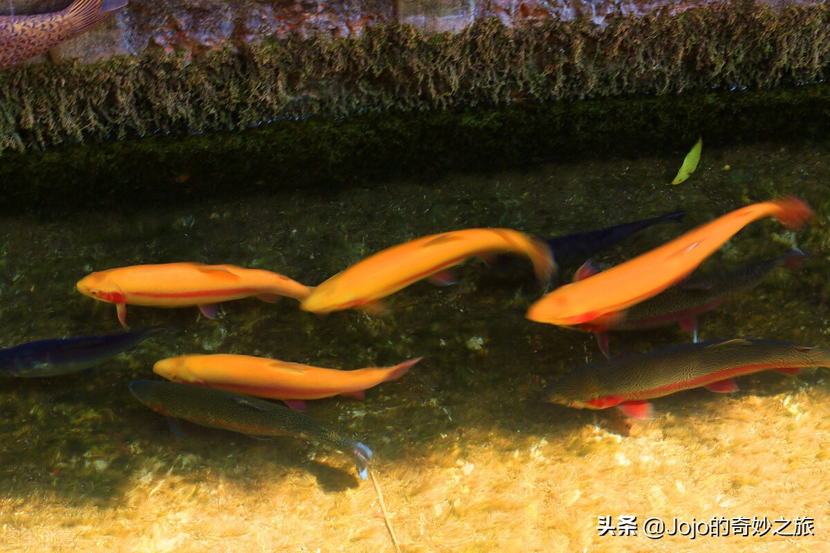 北京怀柔青龙峡在北京什么位置,北京郊区青龙峡