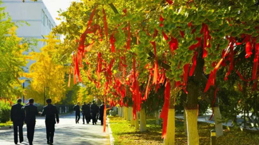 这些政法类大学都是法学界的王牌高校,个个实力强悍