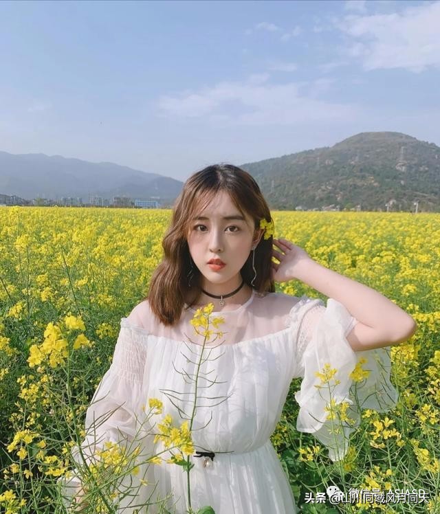 一路金灿灿的油菜花美不胜收,春天里金灿灿油菜花真美