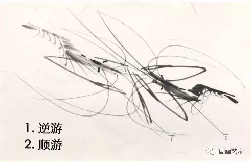 国画用胶矾水画虾技法,娄师白画虾技法视频