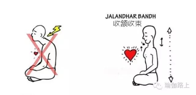 瑜伽练习中，如何启动收颔收束（喉咙锁）-经典