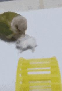 捡到了u盘里面会有什么,捡到一个u盘还好没有用