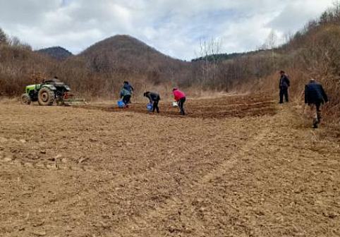 宝鸡凤翔要闻聚焦两会,宝鸡新闻网今日要闻