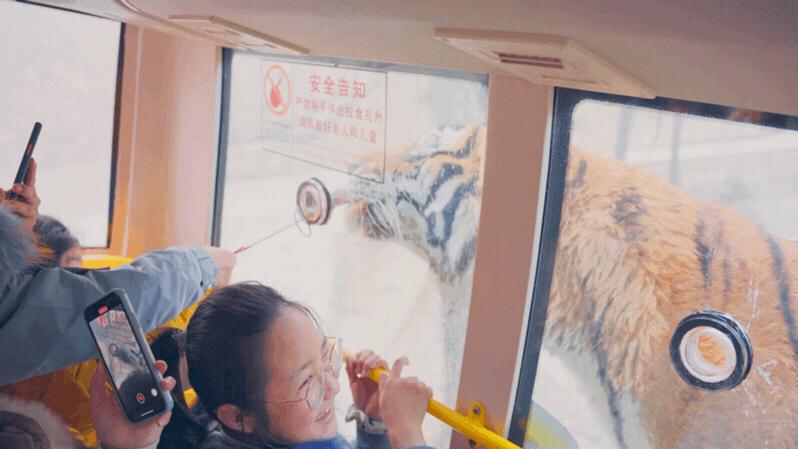 一月洛阳景区免门票怎么操作,洛阳联票99元的七大景区优惠券