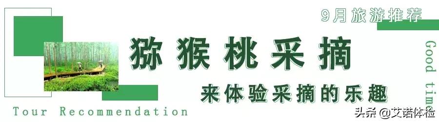 合肥大蜀山详细攻略,合肥大蜀山是什么时候去比较好看