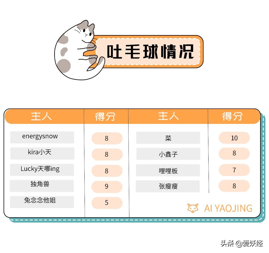 铲屎官减肥瘦身,吐毛球的铲屎官