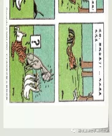 丁丁和丁丁历险记论文,丁丁历险记丁丁的服装