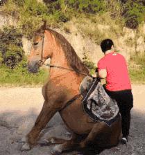 搞笑动图gif微信表情包2019,搞笑动图gif图片合集