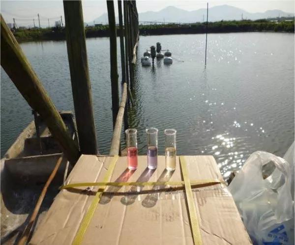 对虾养殖放苗前准备工作,对虾放苗时如何抗应激