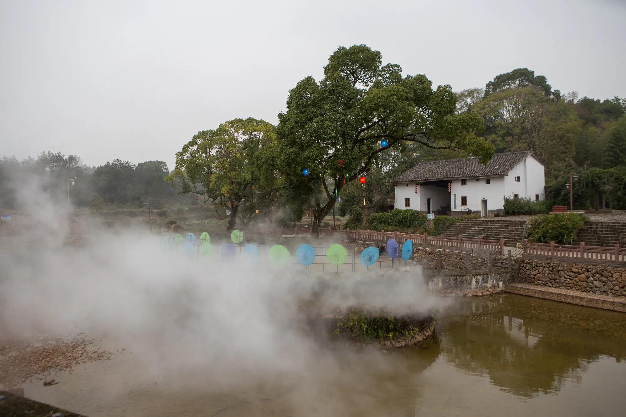 高岭古村银杏,高岭乡高岭村