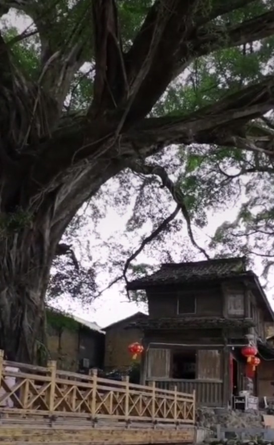 漳州南靖云水谣旅游攻略几公里,福建漳州南靖云水谣之旅