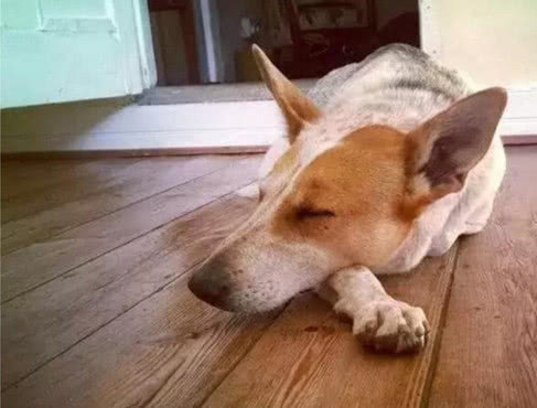 鐢蜂汉鐢ㄦ毚鍔涢┍璧舵祦娴嫍,涓轰粈涔堜繚瀹夎鎶婂悇绉嶆祦娴嫍鎵撴