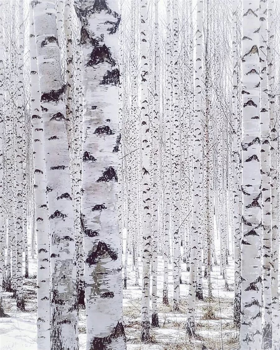 鍥涘缇庢爲,鐢板洯缇庢爲