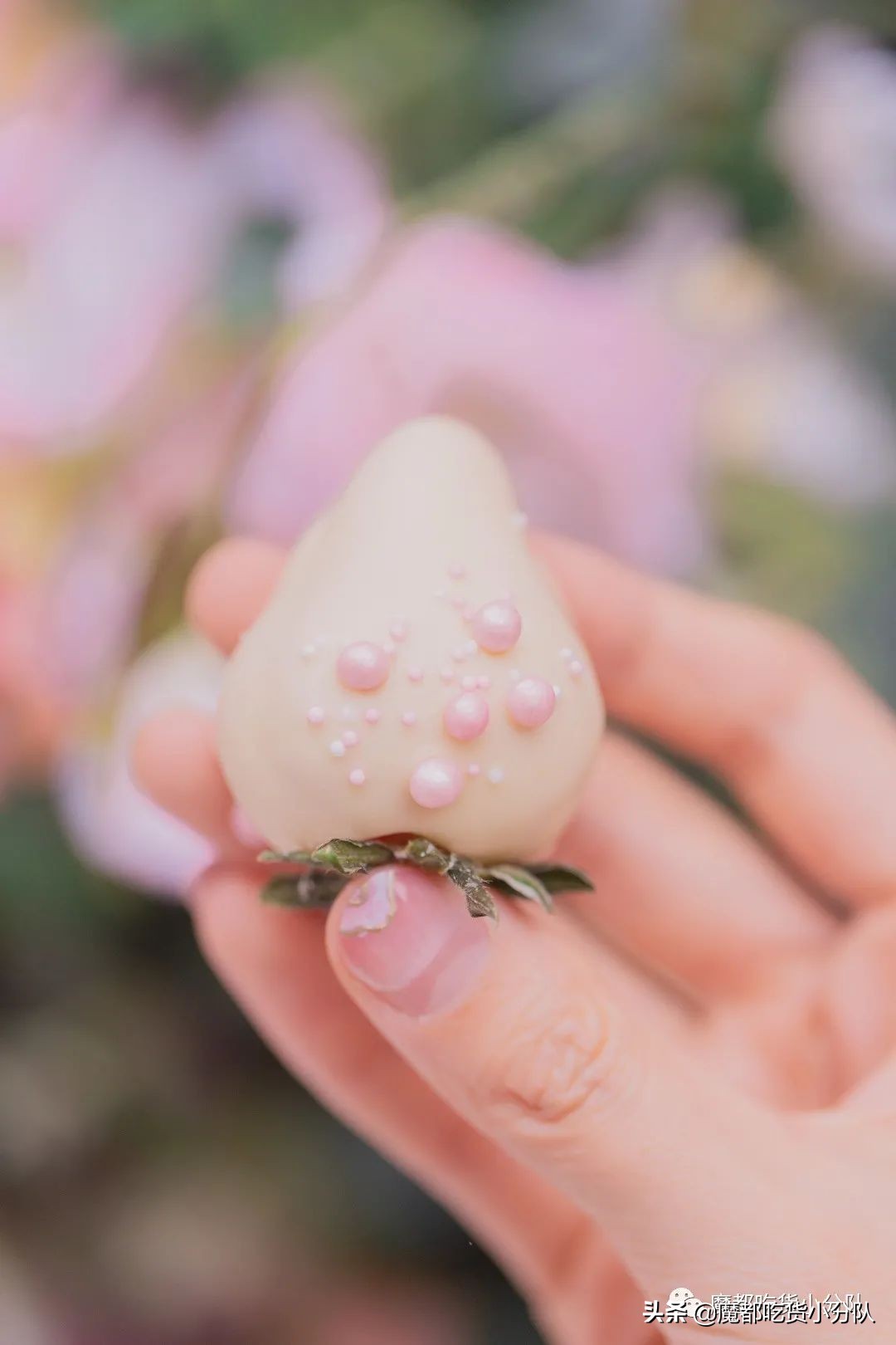 17元/颗的隐形草莓，荷兰来的