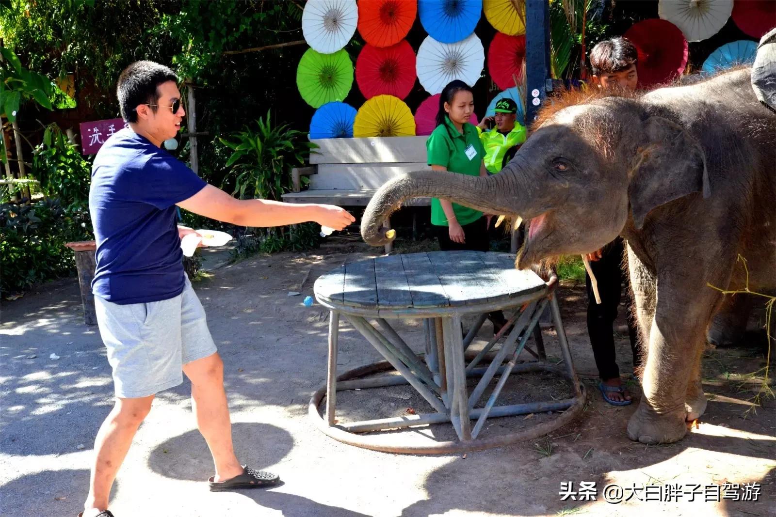 泰国风情之旅完整版,泰国风情记