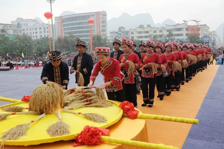 中国56个民族知识大全书籍,关于中国56个民族的知识