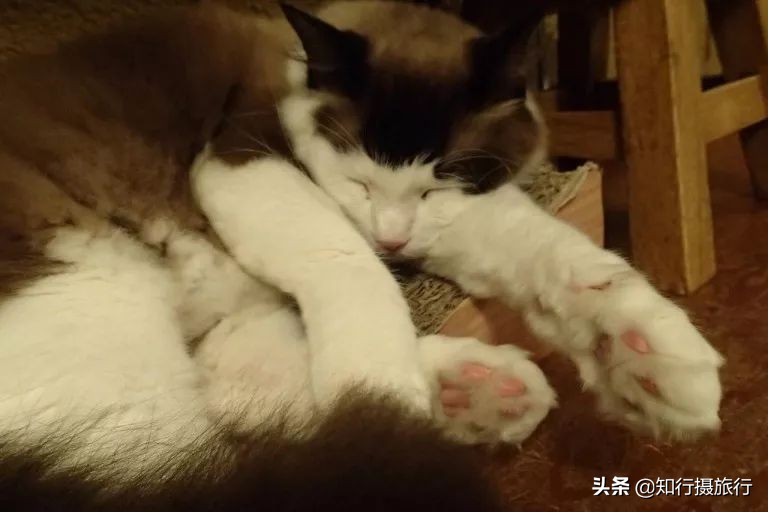 大阪小众景点,去大阪注意事项