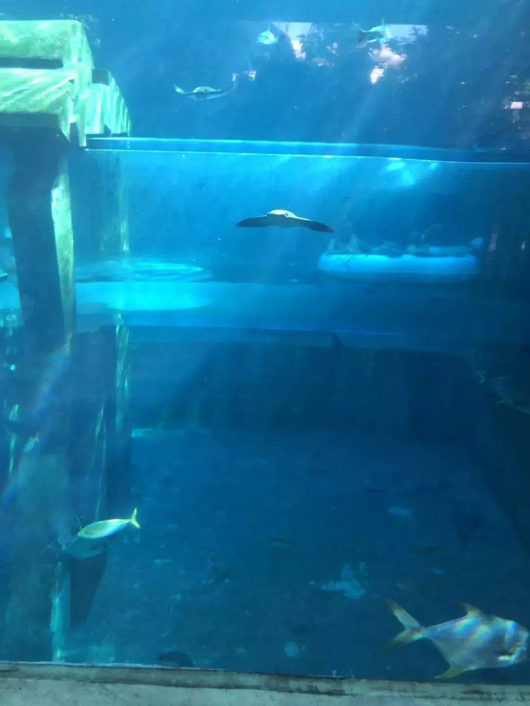 5天亚特兰蒂斯亲子游,带孩子亚特兰蒂斯游玩