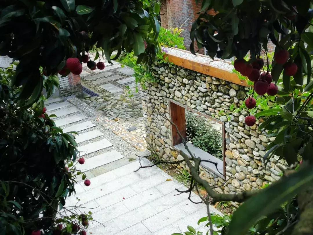 放弃世界顶尖银行工作,他回村当木匠,在废墟上盖出了爆美小院!