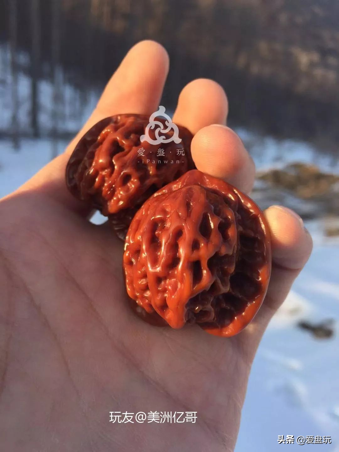 老树磨盘核桃包浆,百年老树核桃图片