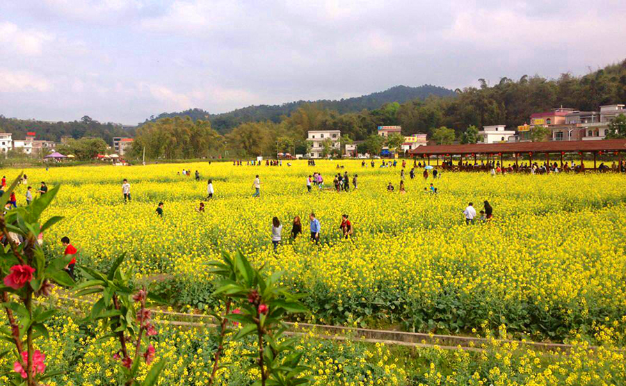 广州南岭群山腹地,广州花都区最具潜力发展区