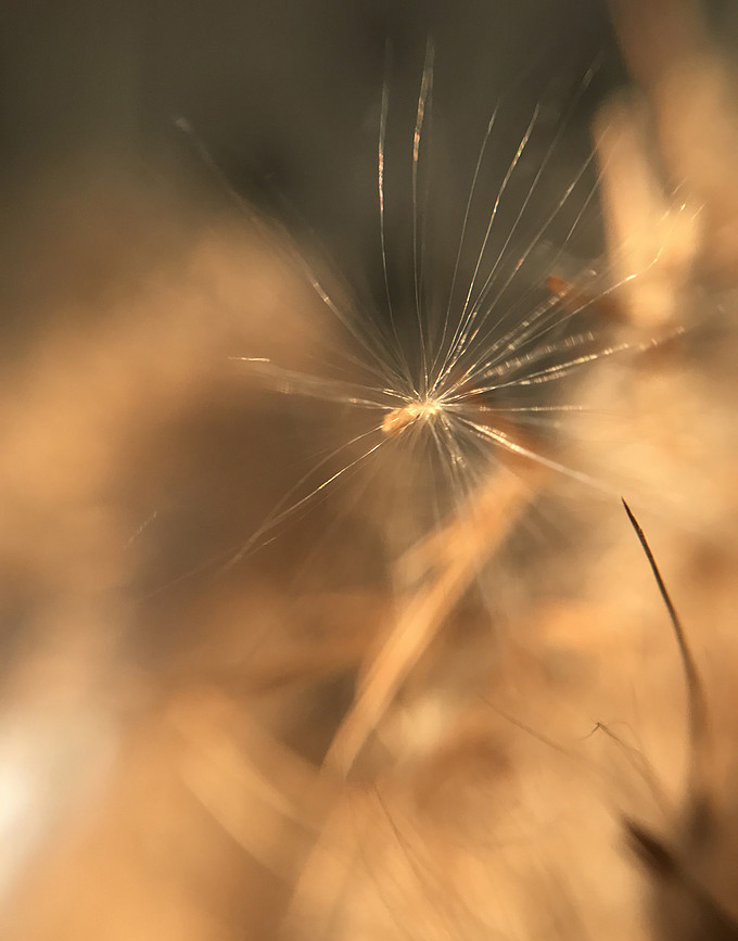 苹果手机什么第三方摄影软件好用,iphone最好用的摄影软件