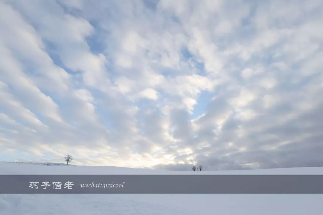 日本10天自由行费用北海道,东京北海道5日自由行攻略