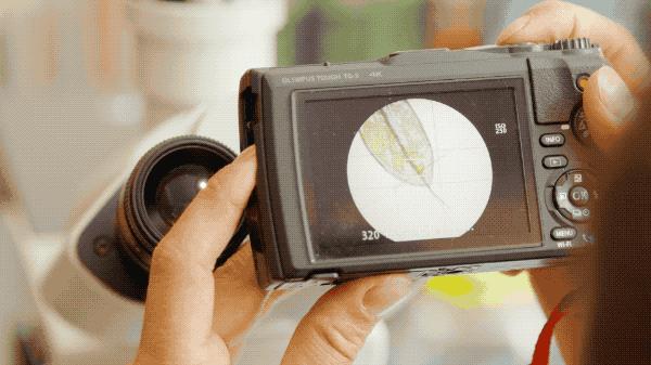 吃毒菇、睡蛇窝，只为挖一堆草，这个重庆博士要做当代神农