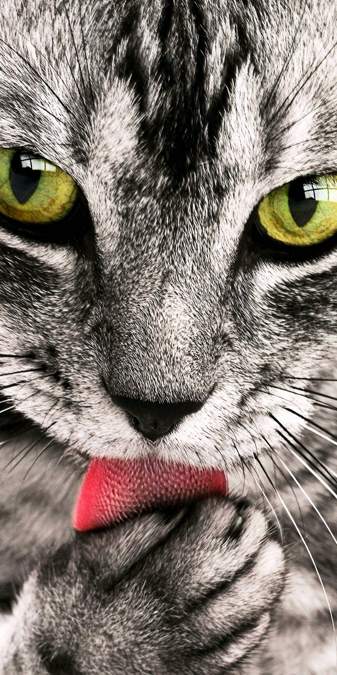 经典黑白系列手机壁纸！非常适合做手机壁纸！感觉收藏一下吧！