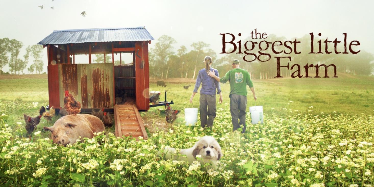 不用农药，让超1000种动植物生态平衡，这次美国人真的做到了