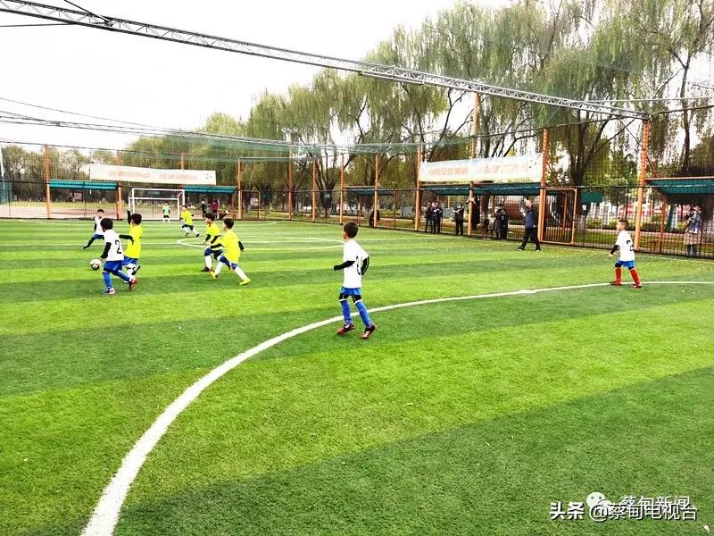满屏热血军体运动会火热开赛,蔡甸区第十一届全民健身运动会