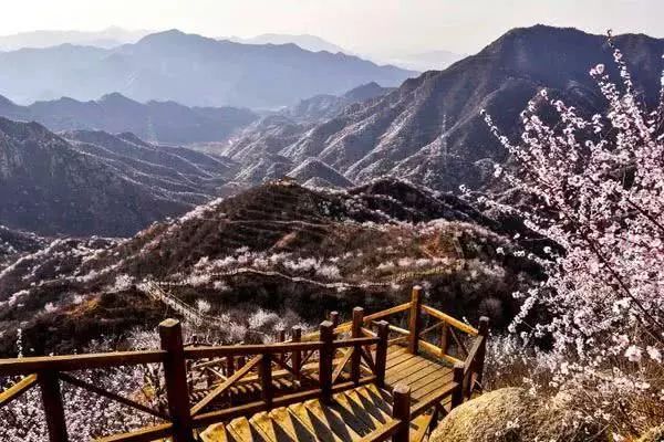 到了京郊这些花开四溢的“仙境”，您简直可以把日子过成诗！