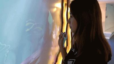 青岛贝林自然博物馆,青岛贝林博物馆门票优惠政策