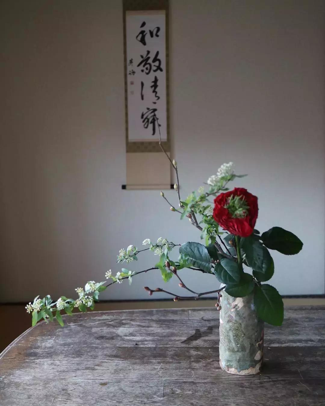 创意禅意插花月季盘花,禅意插花100例兰花