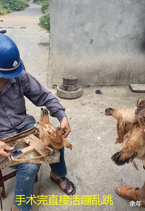 一男子在山洞里挖出一只奇怪生物,湖北一男子挖到老鼠窝
