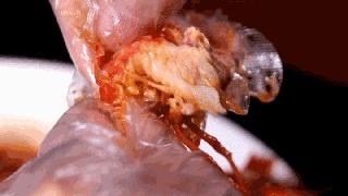 在合肥也能吃到地道的重口味,合肥好吃的鱼头1912