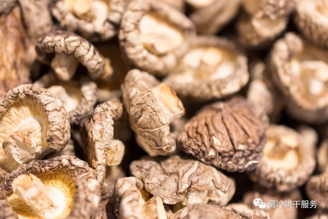 烘干香菇怎么烘才香,香菇柴火烘干好还是机器烘干好