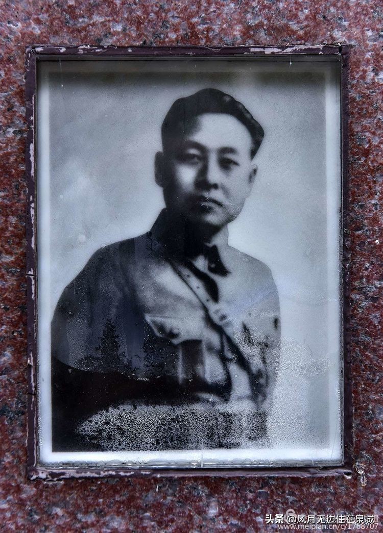 济南秋天的法国梧桐,济南一颗梧桐树