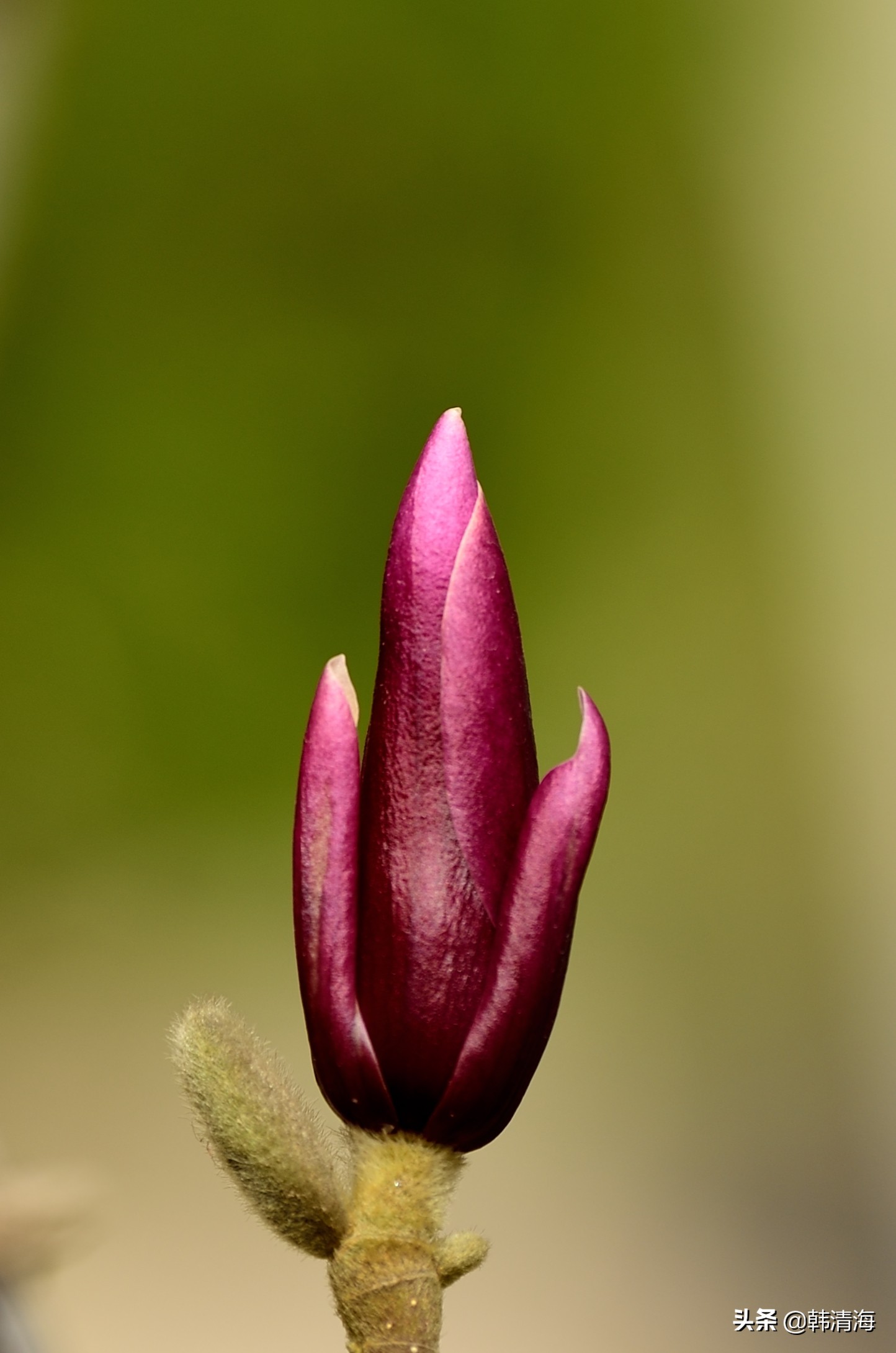 天津南开水畔花园洋房,天津南开区水畔花园