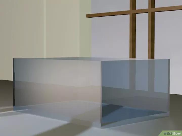 怎么养蜗牛宠物,怎么养野生蜗牛做宠物