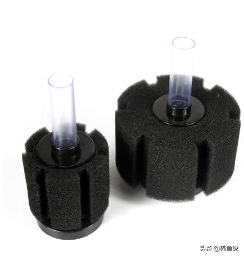 小型鱼缸过滤器怎样养殖观赏鱼,小鱼缸养小型鱼用什么过滤好