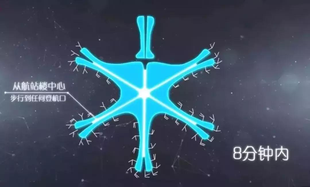 大兴机场全球最大单体机场,大兴国际机场机库