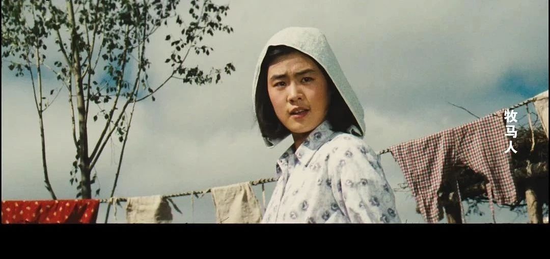 电影牧马人丛珊现状,牧马人的女主角丛珊去哪了